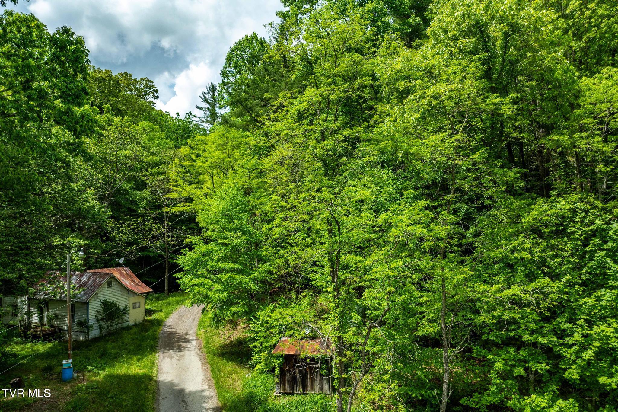 Tbd Fire Tower Road Mountain City, TN 37683 - Photo 18 of 19 TBD Fire Tower Road (21 of 22)