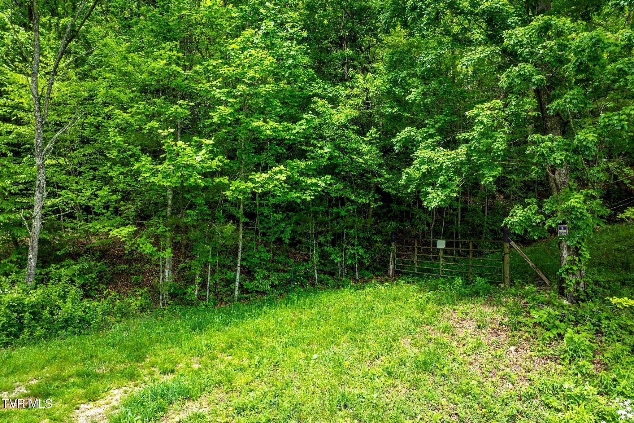 Tbd Fire Tower Road Mountain City, TN 37683 - Photo 19 of 19 TBD Fire Tower Road (22 of 22)