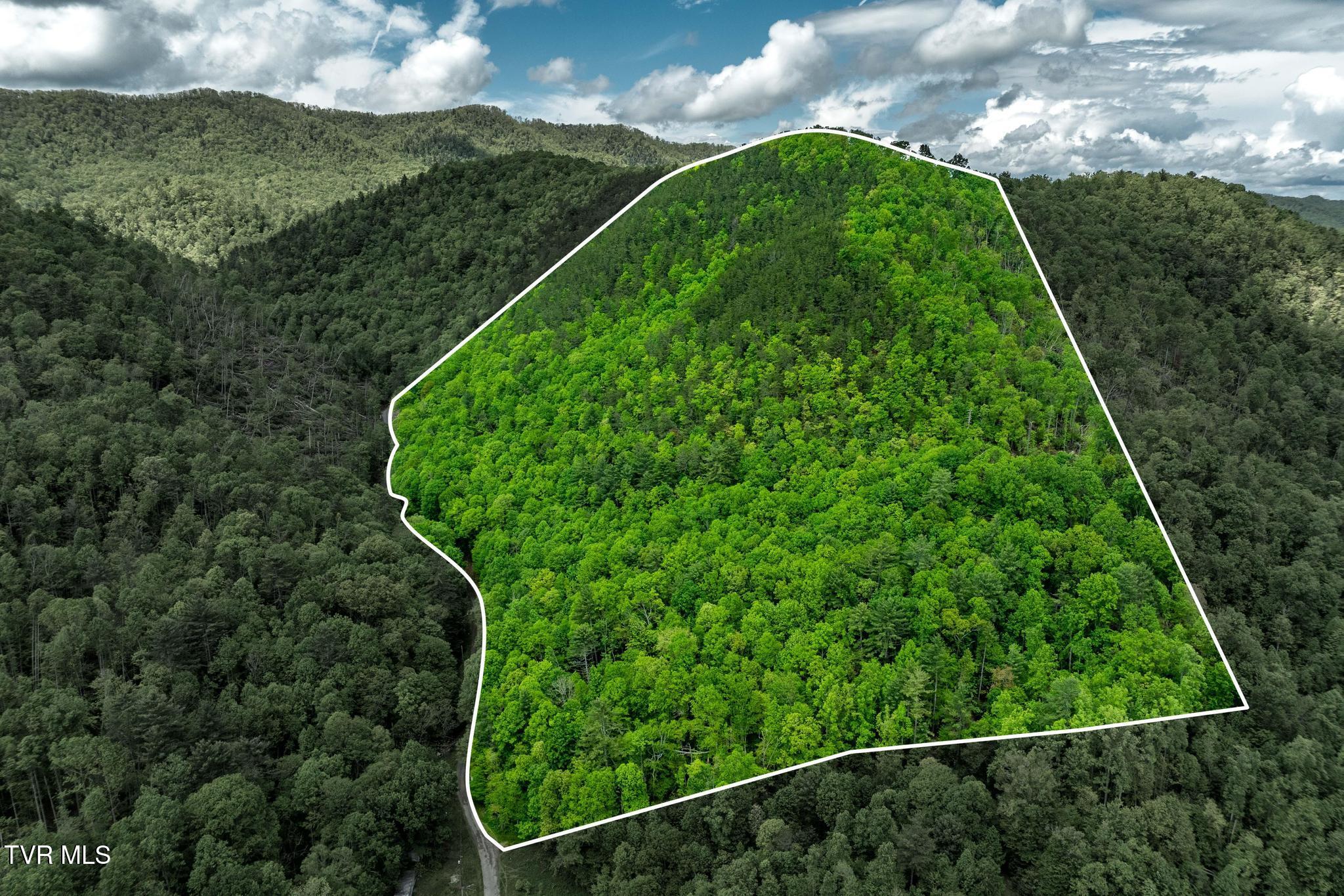 Tbd Fire Tower Road Mountain City, TN 37683 - Photo 2 of 19 TBD Fire Tower Road (1 of 22)
