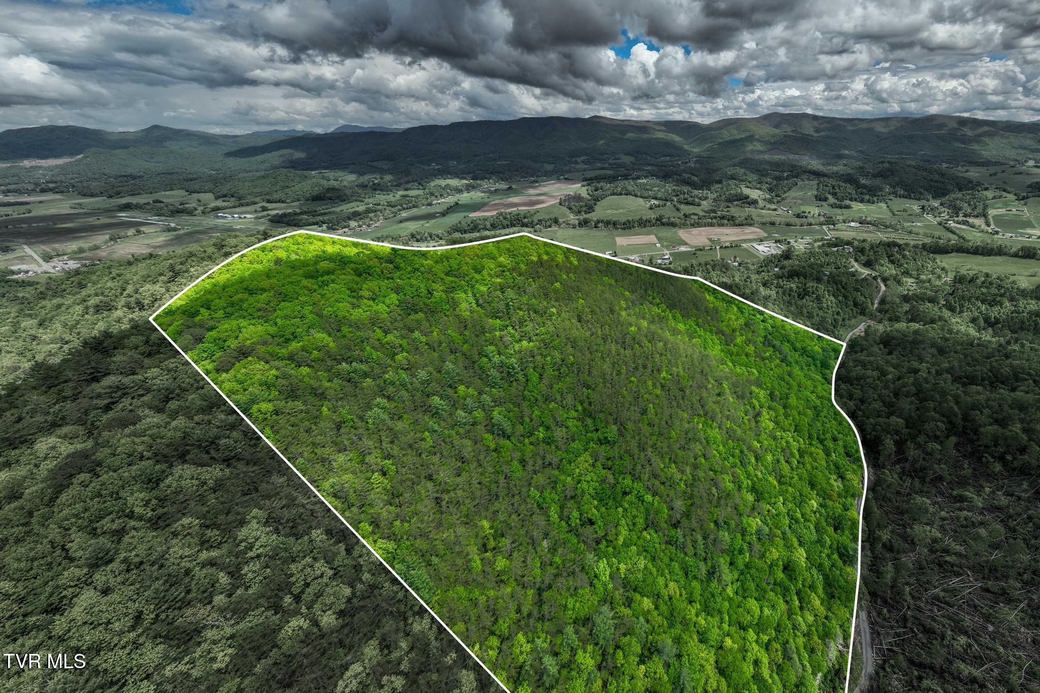 Tbd Fire Tower Road Mountain City, TN 37683 - Photo 3 of 19 TBD Fire Tower Road (5 of 22)