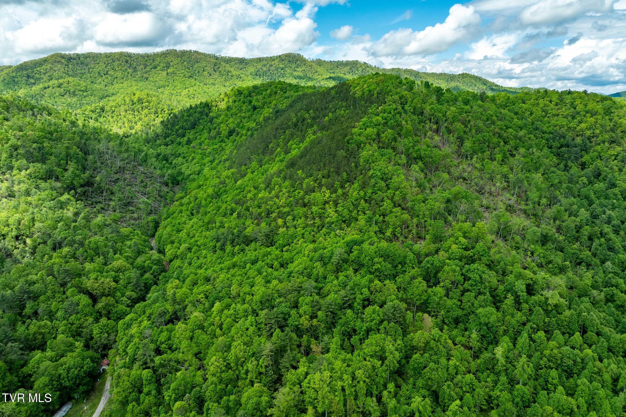 Tbd Fire Tower Road Mountain City, TN 37683 - Photo 4 of 19 TBD Fire Tower Road (7 of 22)
