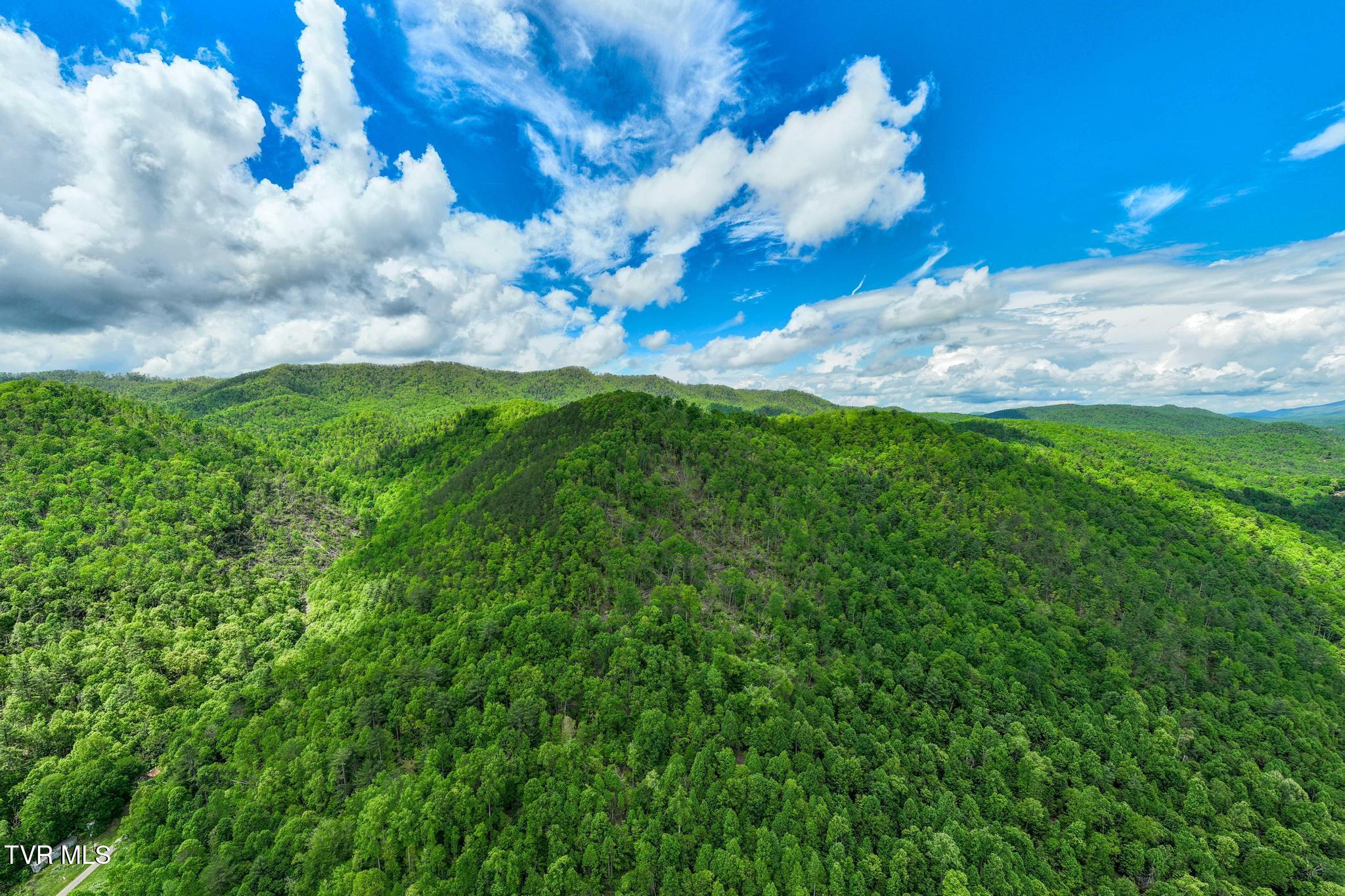 Tbd Fire Tower Road Mountain City, TN 37683 - Photo 5 of 19 TBD Fire Tower Road (8 of 22)