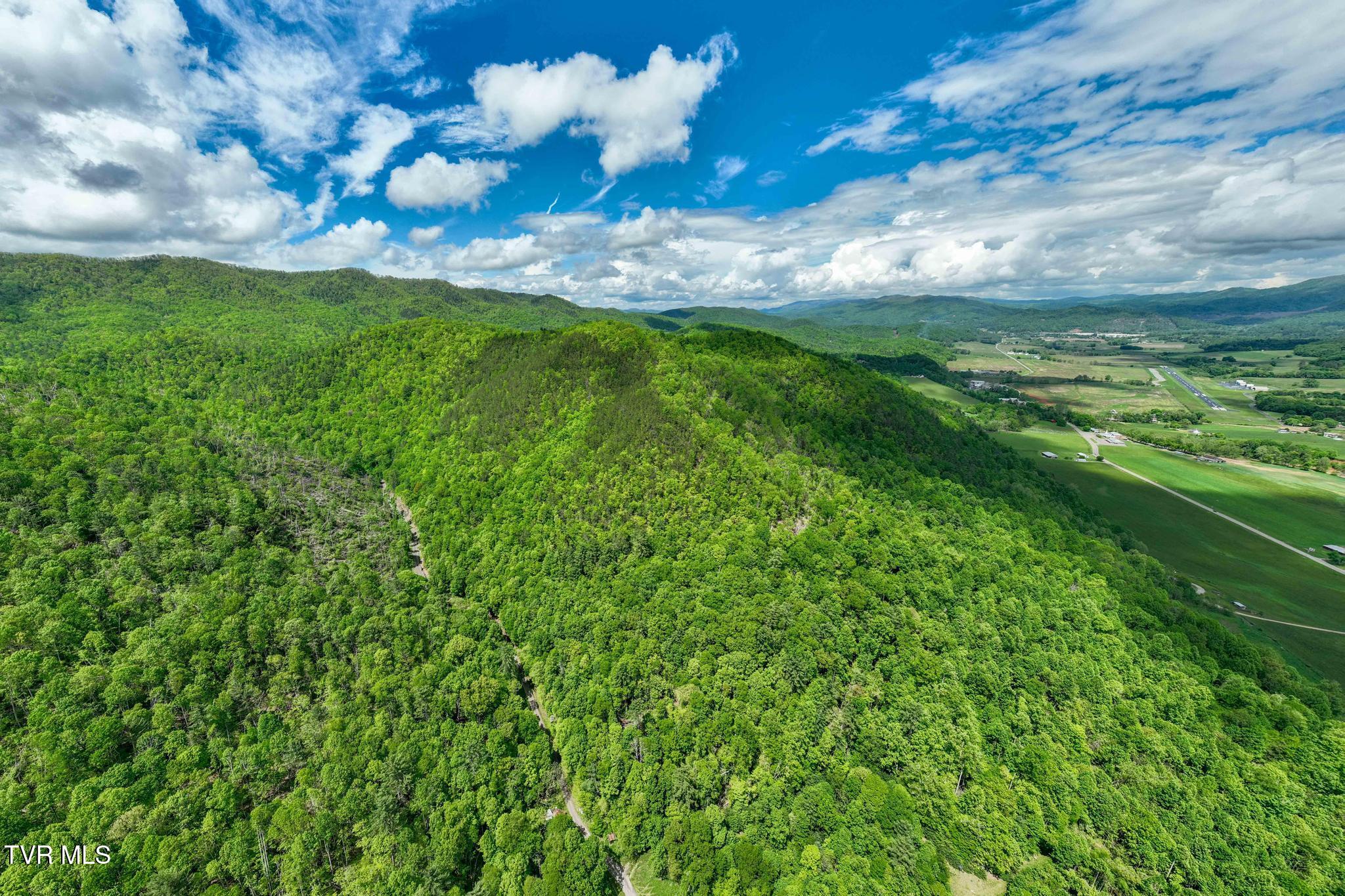 Tbd Fire Tower Road Mountain City, TN 37683 - Photo 6 of 19 TBD Fire Tower Road (9 of 22)
