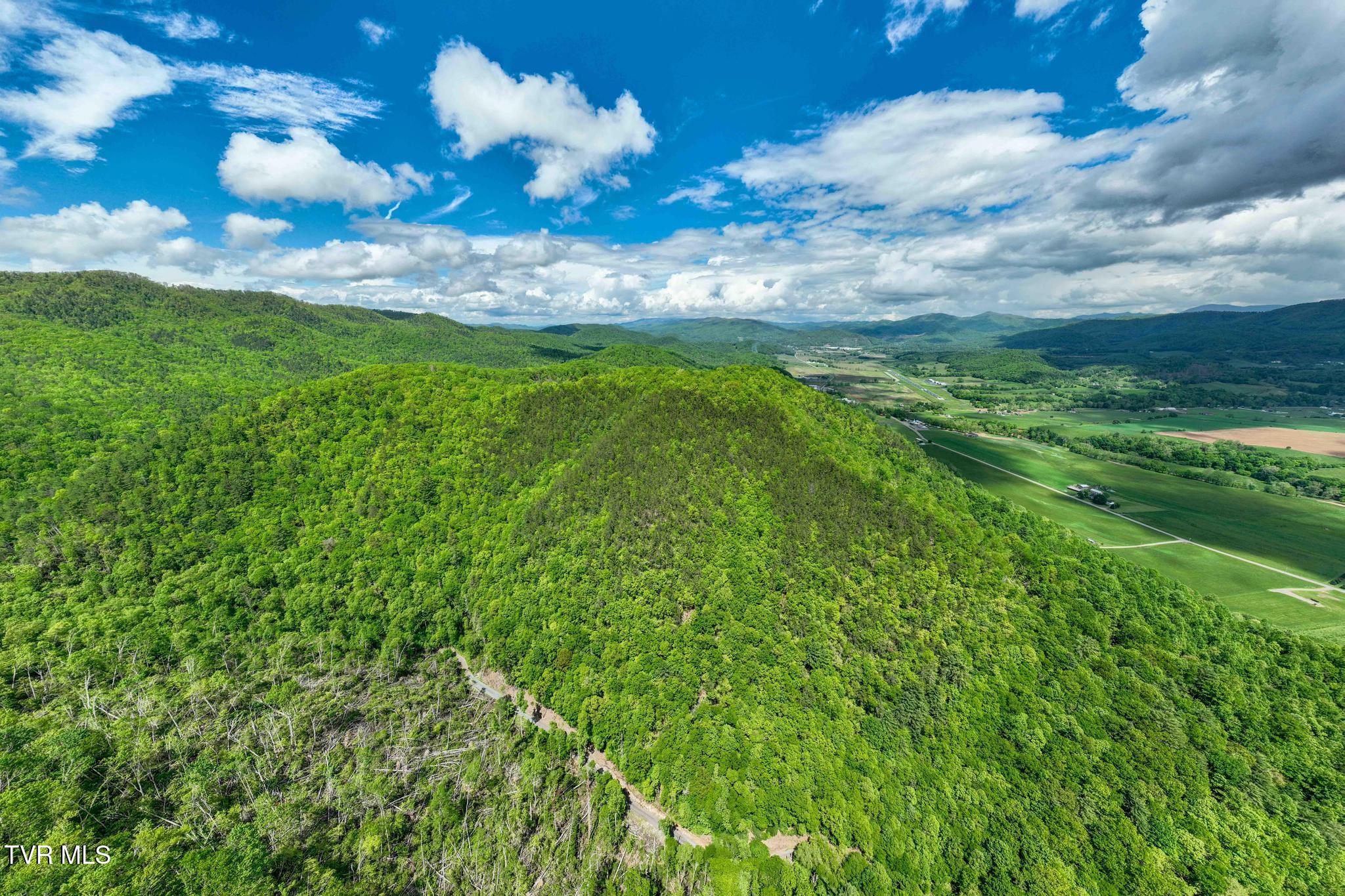 Tbd Fire Tower Road Mountain City, TN 37683 - Photo 7 of 19 TBD Fire Tower Road (10 of 22)
