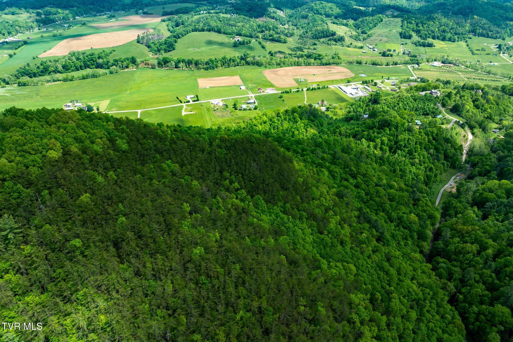 Tbd Fire Tower Road Mountain City, TN 37683 - Photo 10 of 19 TBD Fire Tower Road (13 of 22)