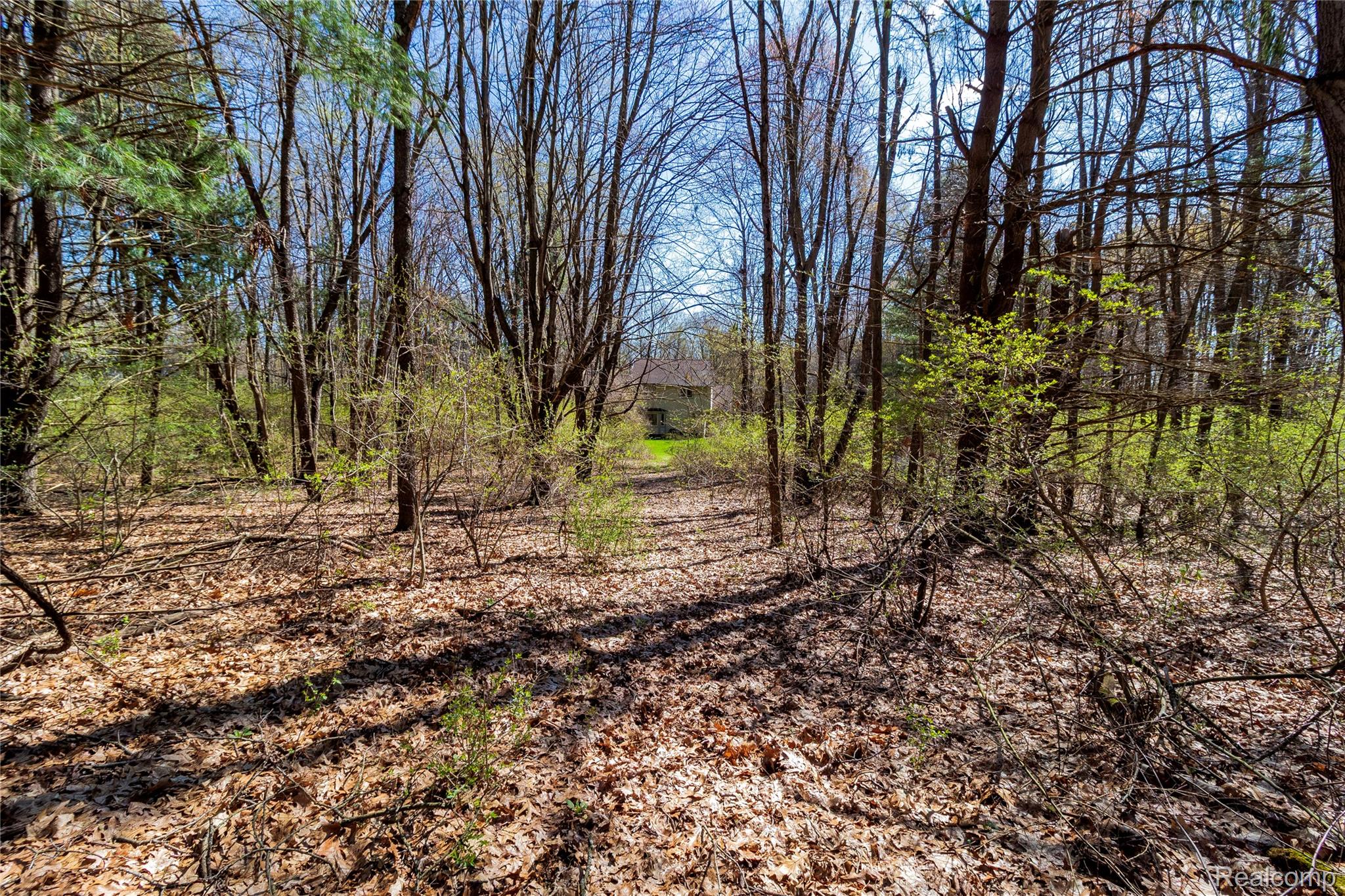 4450 Blood Road Metamora, MI 48455 - Photo 59 of 61 Back Woods (2).jpg