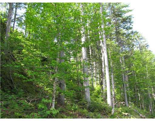 2 Elliotsville / Monson Road Monson, ME 04464 - Photo 3 of 9 Land.