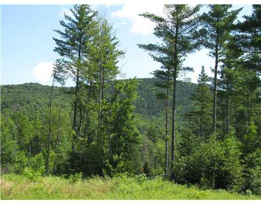 2 Elliotsville / Monson Road Monson, ME 04464 - Photo 6 of 9 View.