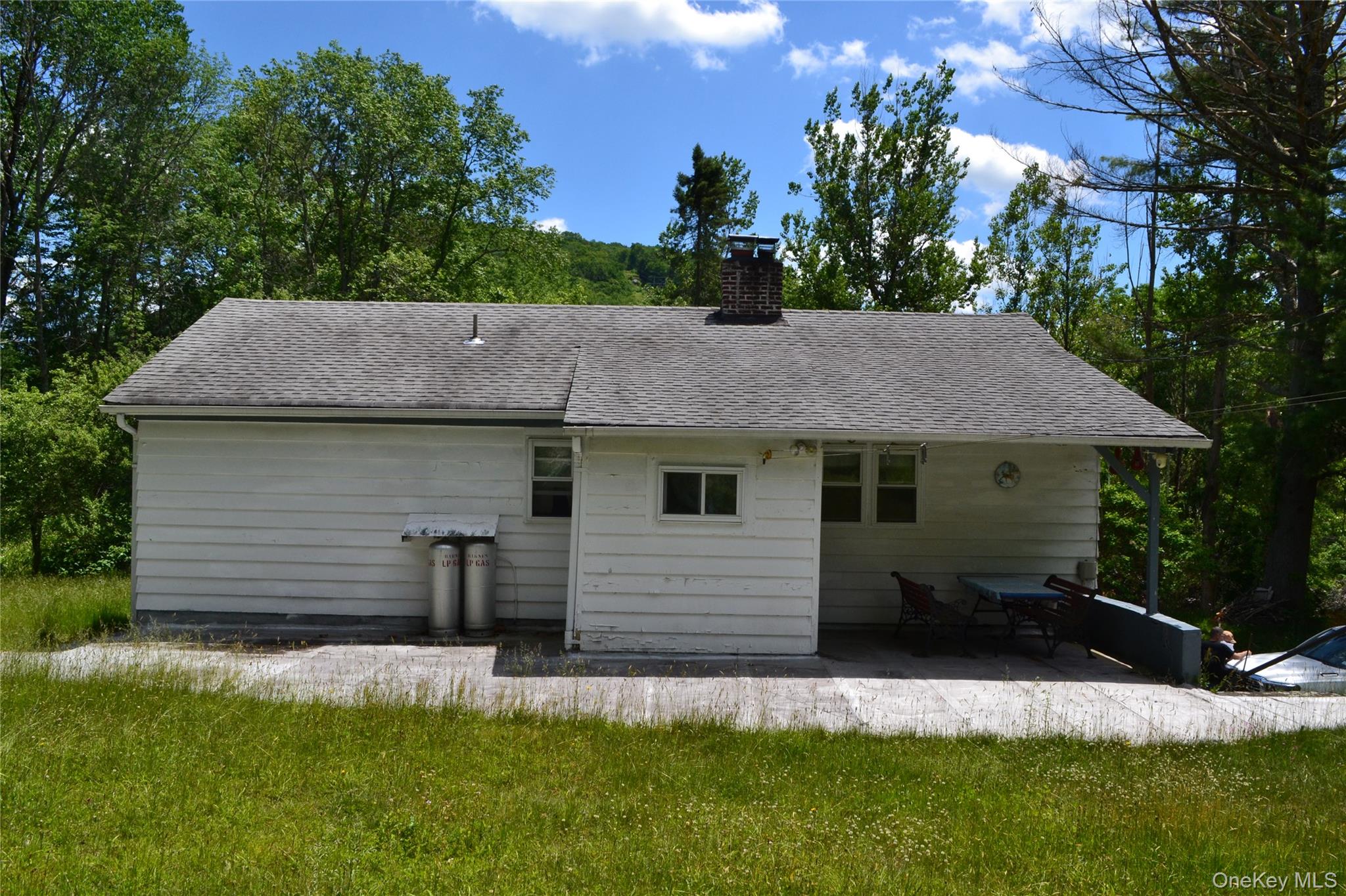 549 Gavette Road Roscoe, NY 12776 - Photo 4 of 26 Rear of house with newer roof