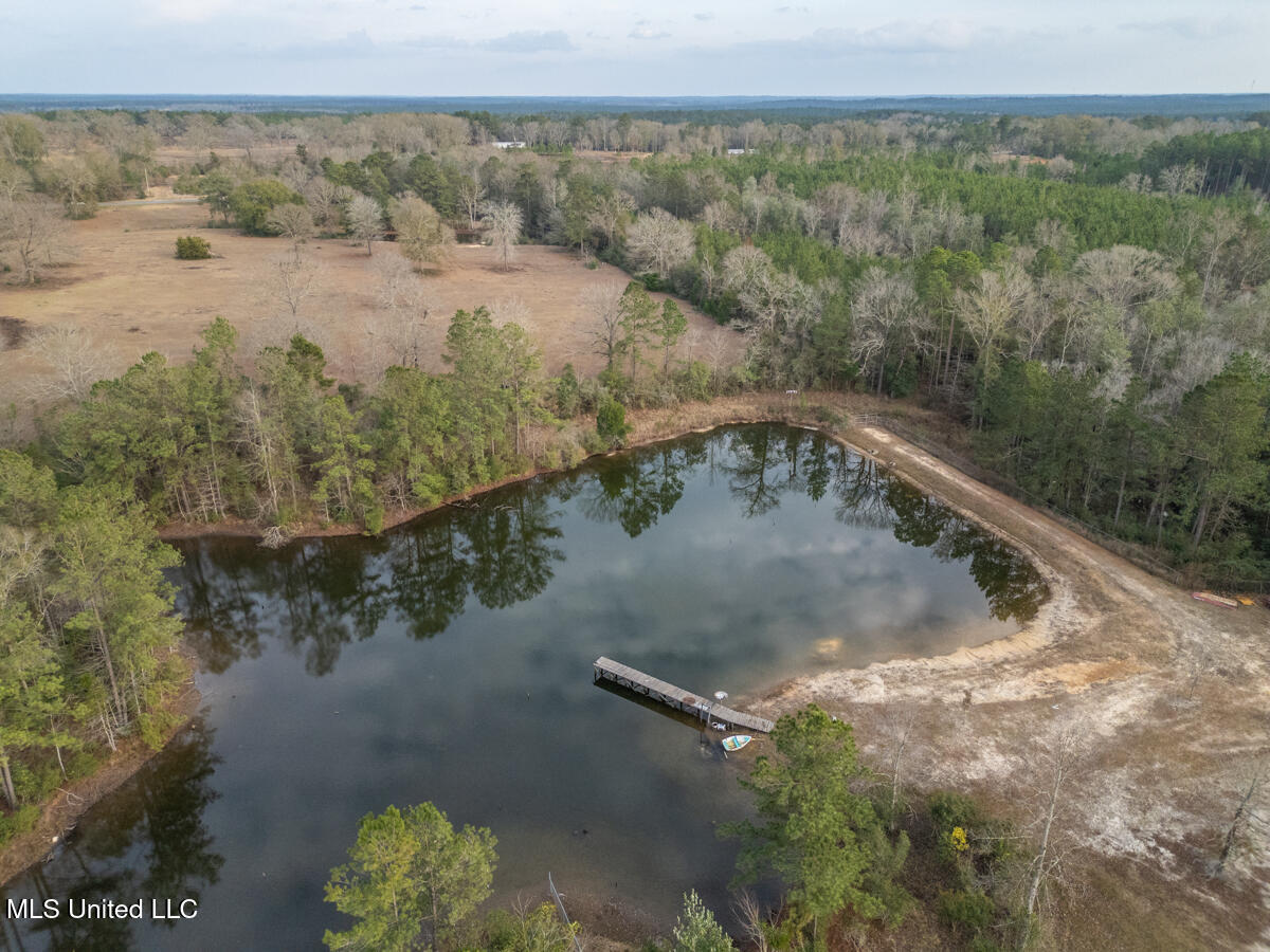 523 Dunnam Road Leakesville, MS 39451 - Photo 11 of 48 Pond