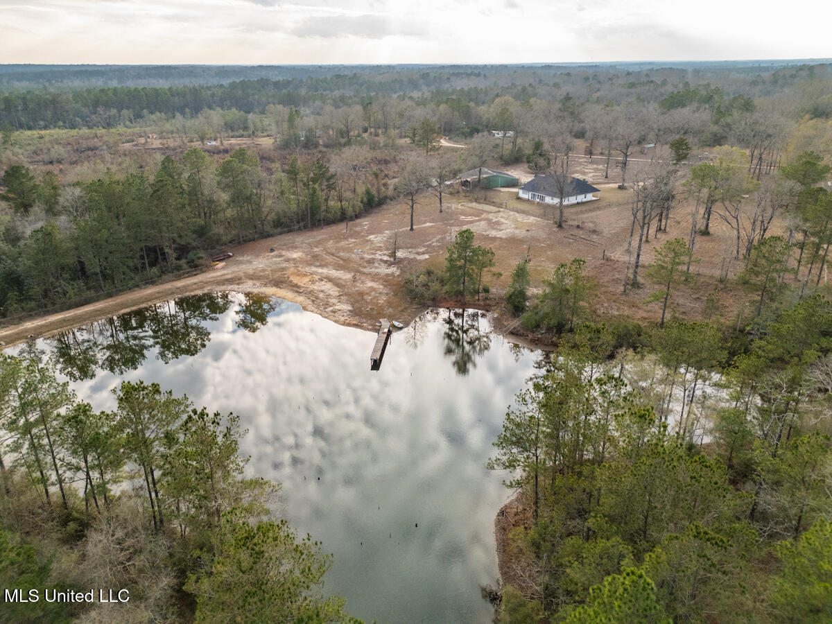 523 Dunnam Road Leakesville, MS 39451 - Photo 12 of 48 Large Pond