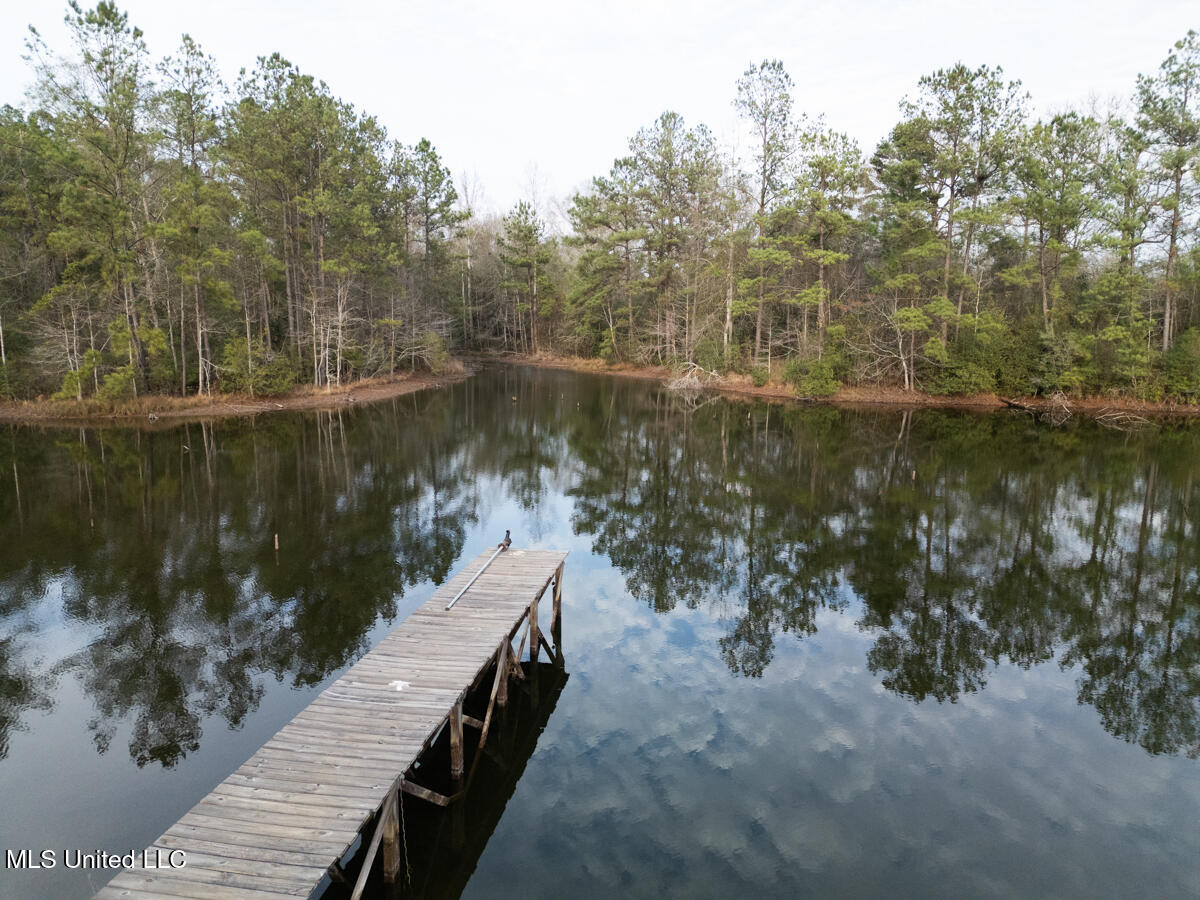 523 Dunnam Road Leakesville, MS 39451 - Photo 13 of 48 Pier