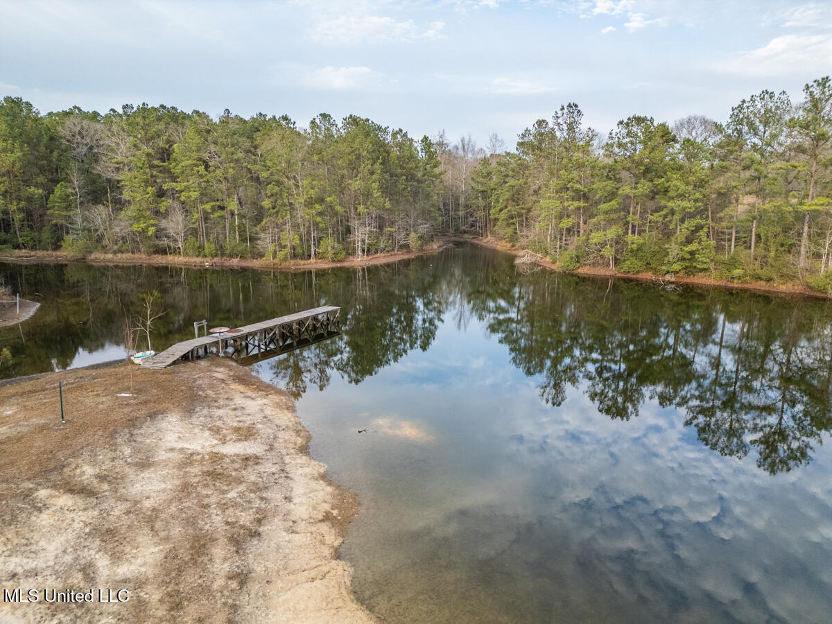 523 Dunnam Road Leakesville, MS 39451 - Photo 14 of 48 Pier
