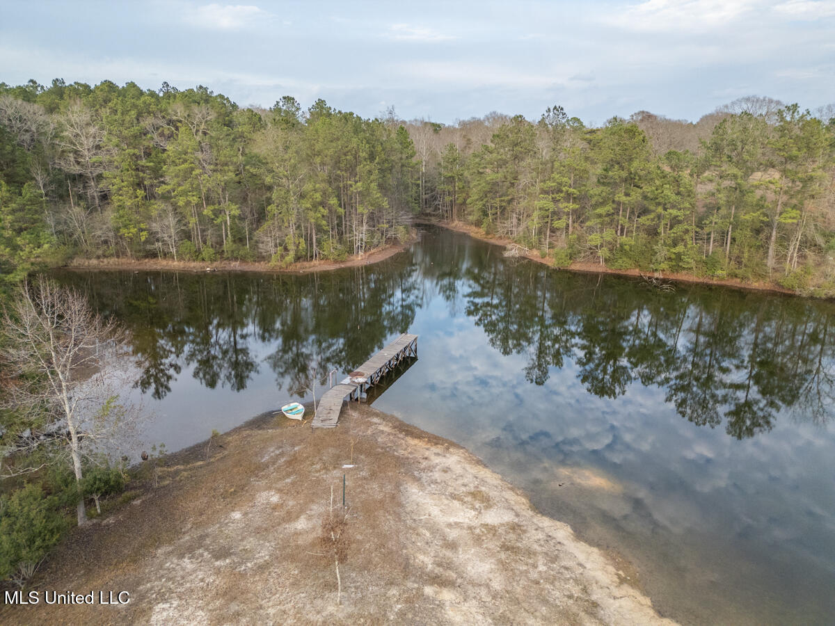 523 Dunnam Road Leakesville, MS 39451 - Photo 15 of 48 Pond