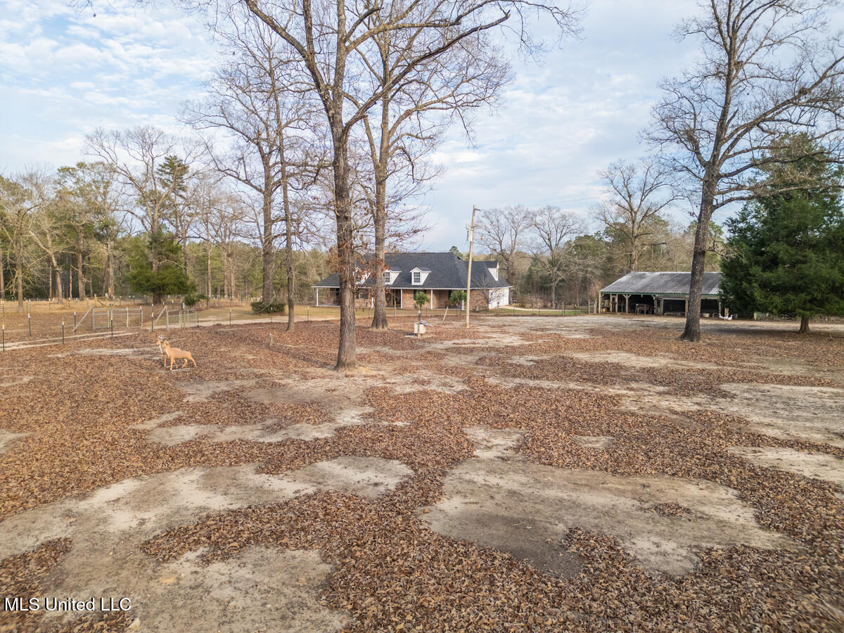 523 Dunnam Road Leakesville, MS 39451 - Photo 18 of 48 Front