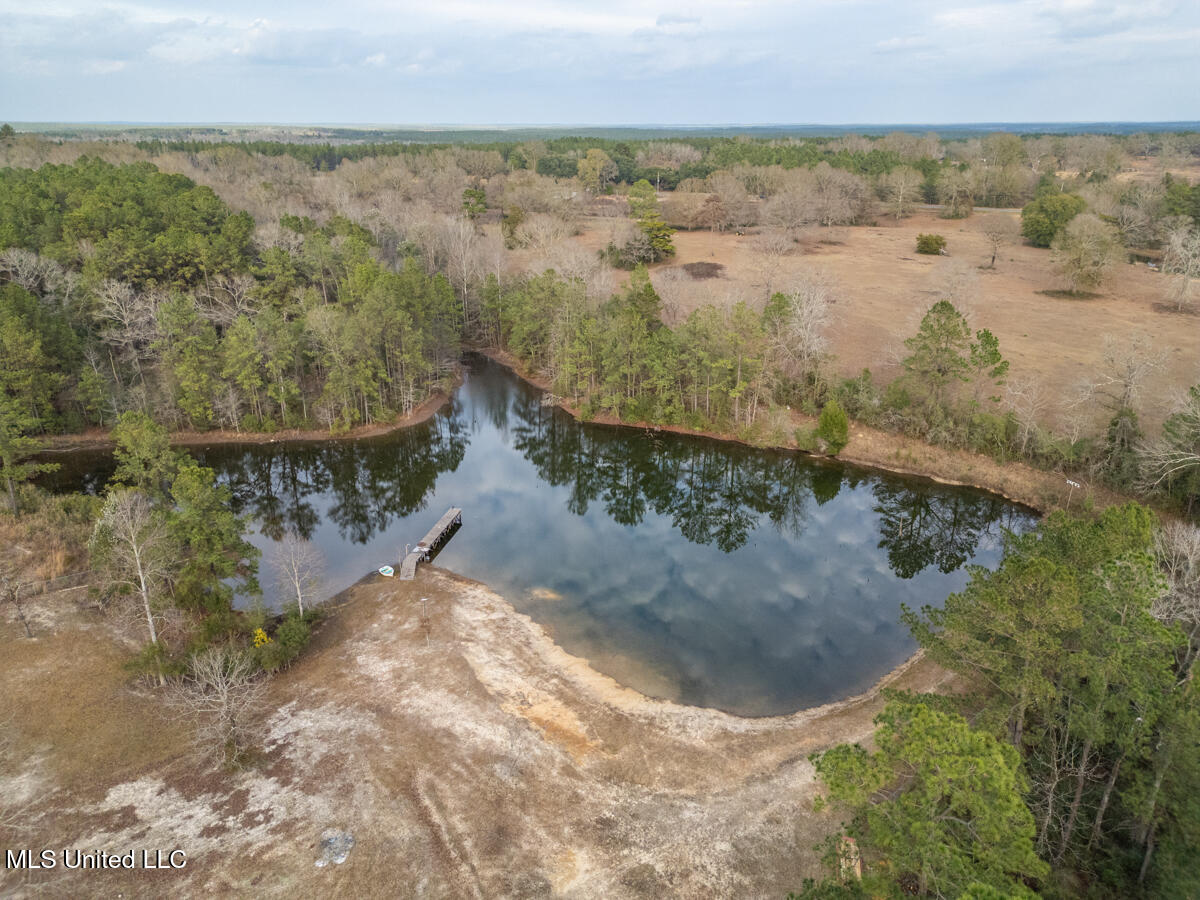 523 Dunnam Road Leakesville, MS 39451 - Photo 10 of 48 Pond