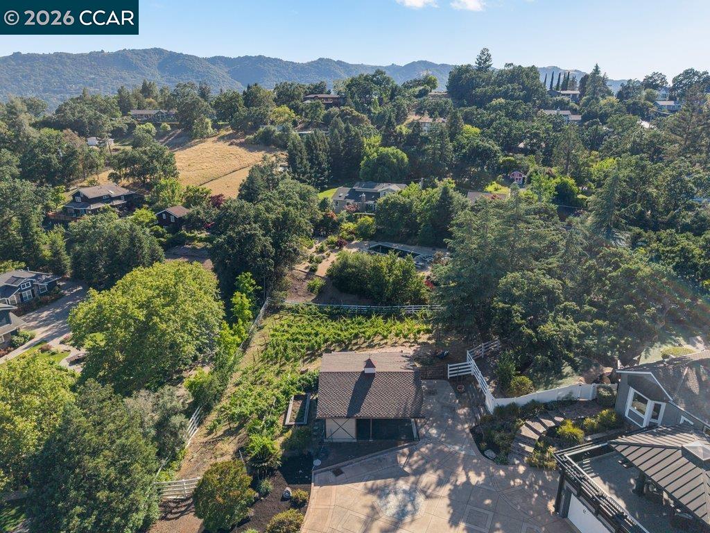 189 Oak Road Alamo, CA 94507 - Photo 85 of 86