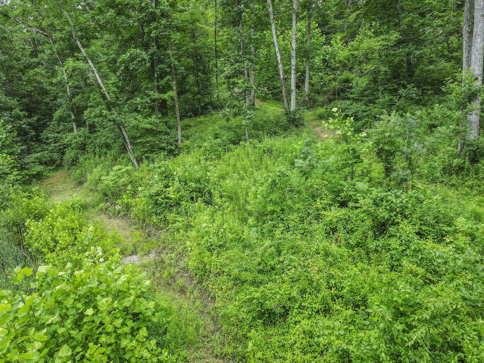 0 Greens Run Road Glouster, OH 45732 - Photo 94 of 121 94-web-or-mls-DJI_0375