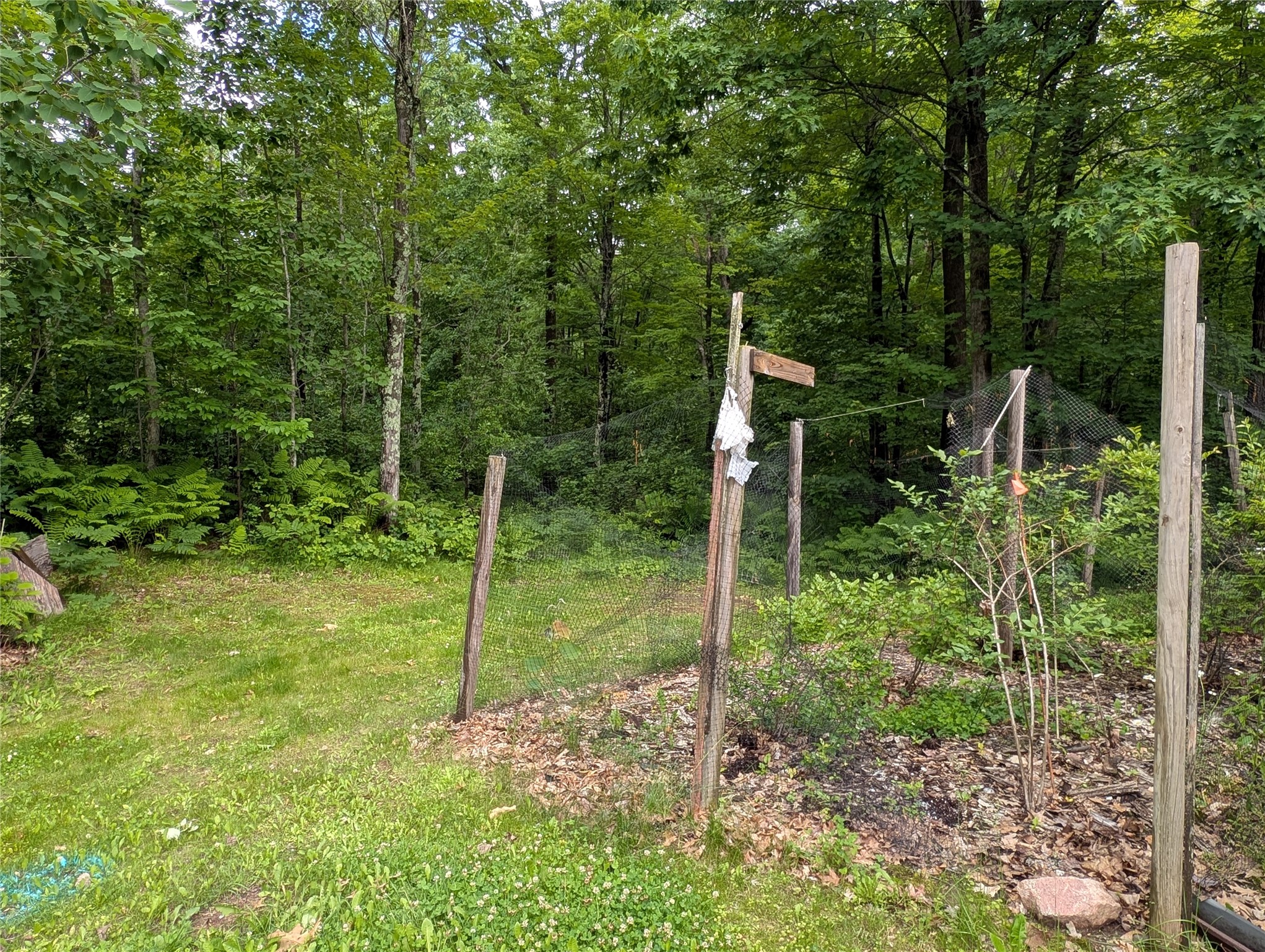 N131 Dalen Road Birchwood, WI 54817 - Photo 47 of 53