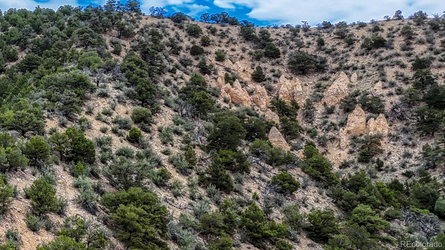 8966 Hanging Tree Drive Salida, CO 81201 - Photo 8 of 50 a view of a covered with green space
