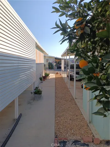 a picture of a house with a tree