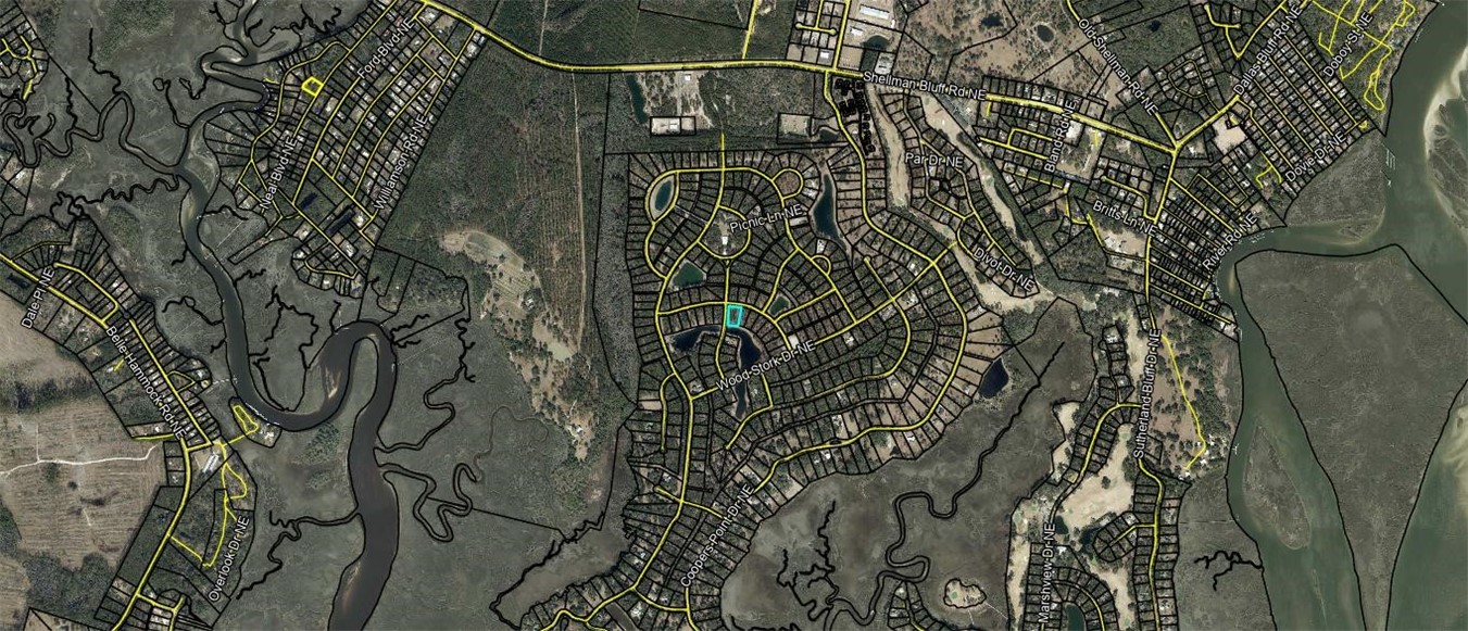 Lot 582 Northeast Ne Lake Townsend, GA 31331 - Photo 9 of 9