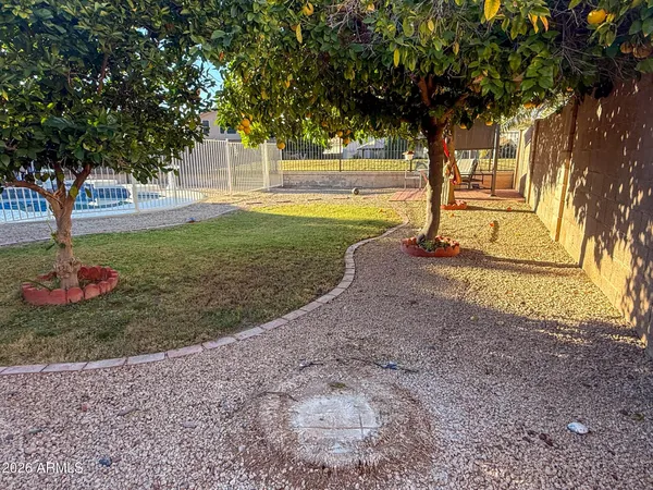 a view of a garden with a tree