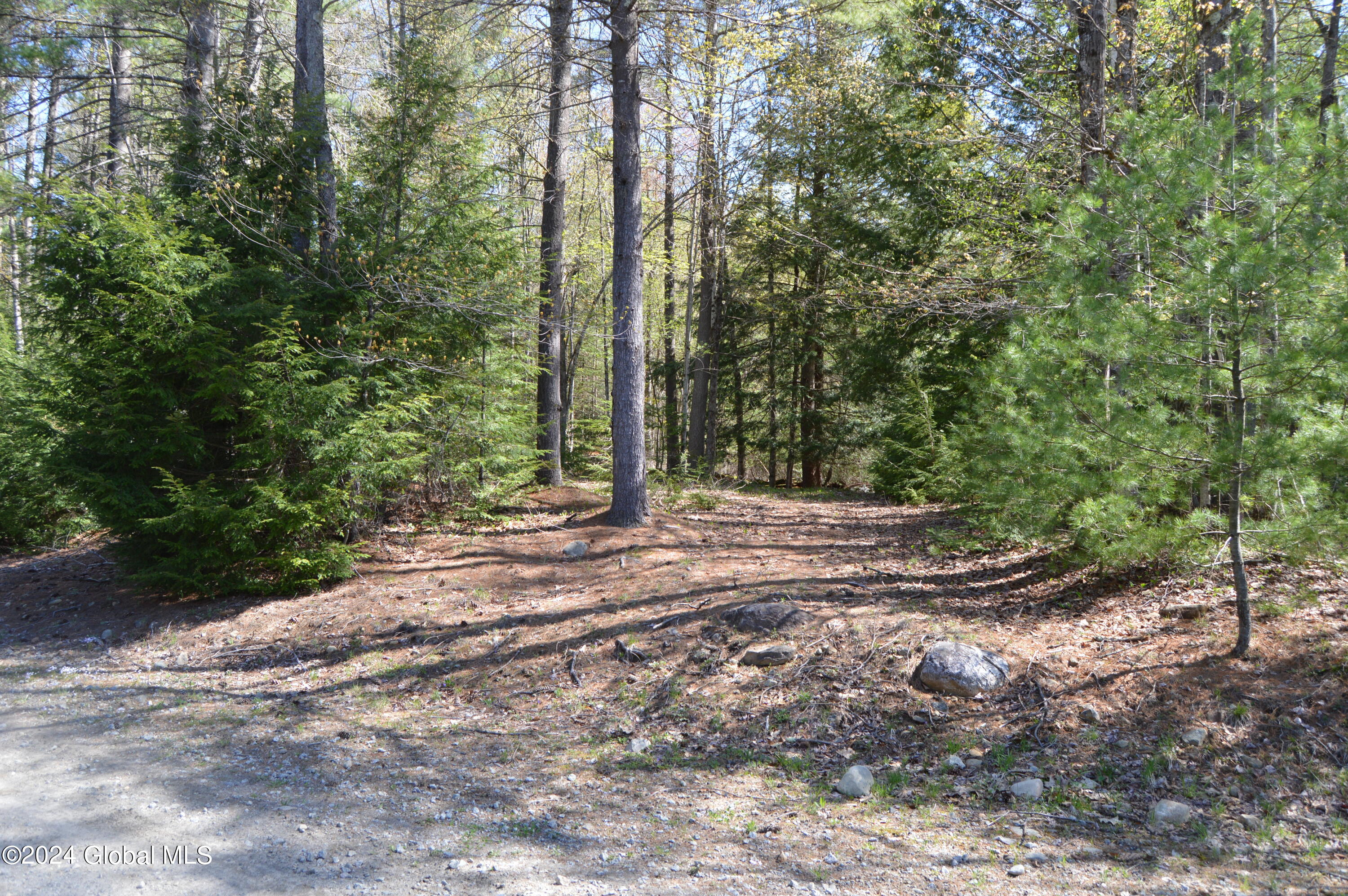 0 Adirondack Heights Road Chestertown, NY 12817 - Photo 2 of 6 DSC_0061