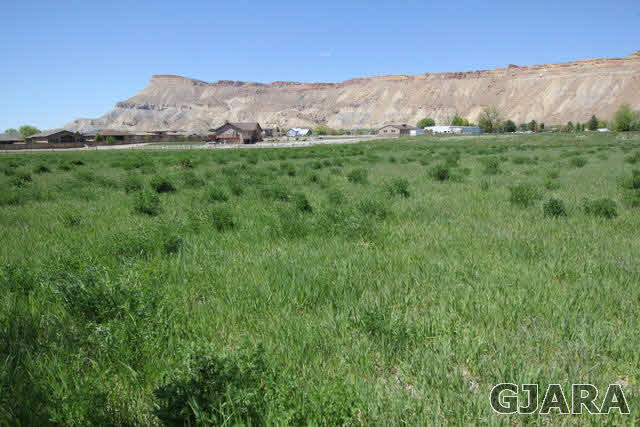 a view of mountain and grassy field