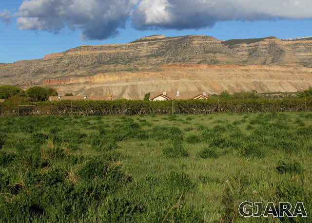3707 G Road Palisade, CO 81526 - Photo 4 of 9 a view of an ocean