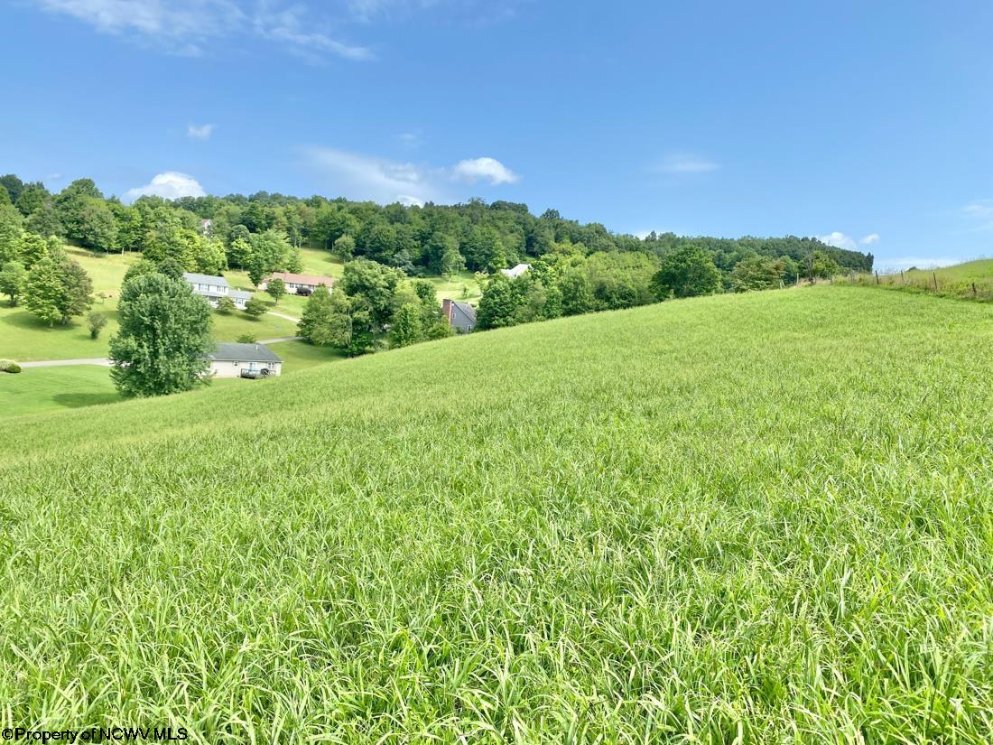962 Stony Run Road Buckhannon, WV 26201 - Photo 24 of 38 Gallery Image 24