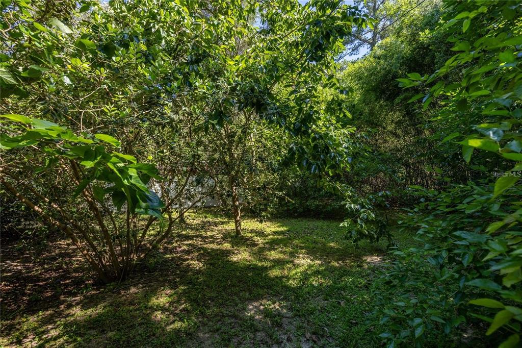 415 Northwest 32nd Street Gainesville, FL 32607 - Photo 70 of 81