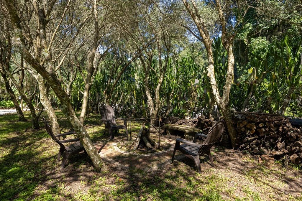 415 Northwest 32nd Street Gainesville, FL 32607 - Photo 7 of 81