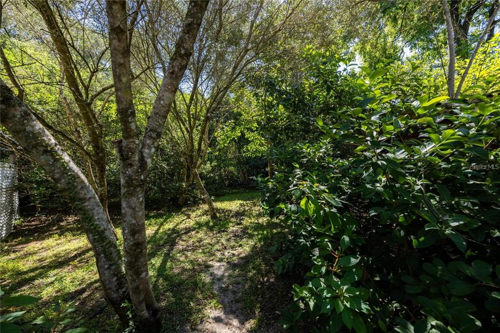 415 Northwest 32nd Street Gainesville, FL 32607 - Photo 71 of 81