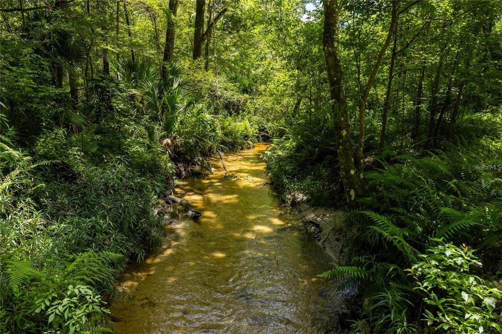 415 Northwest 32nd Street Gainesville, FL 32607 - Photo 81 of 81