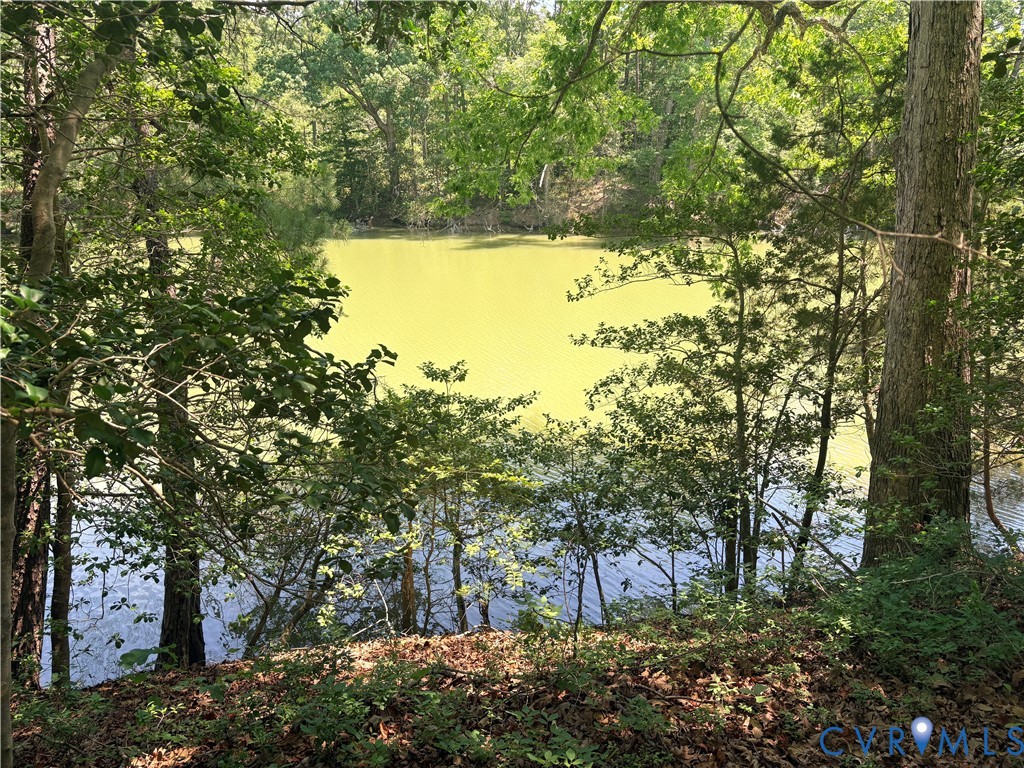 0 Millenbeck Prong Road Lancaster, VA 22503 - Photo 6 of 10