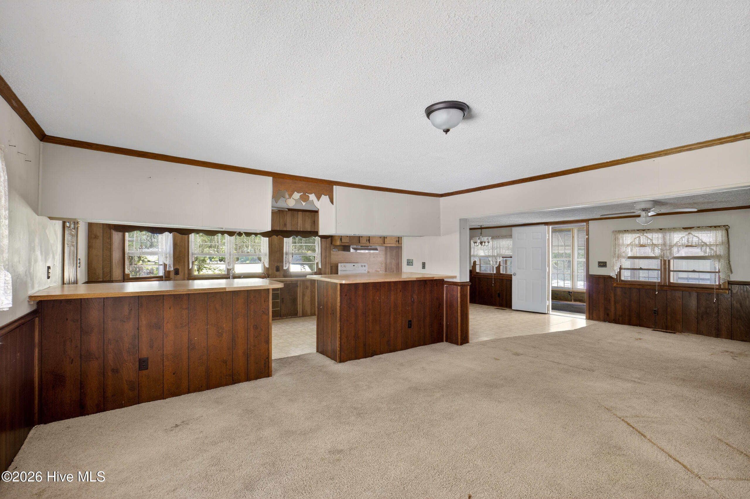 182 Beech Springs Road Hertford, NC 27944 - Photo 22 of 30 028_XT3R0732