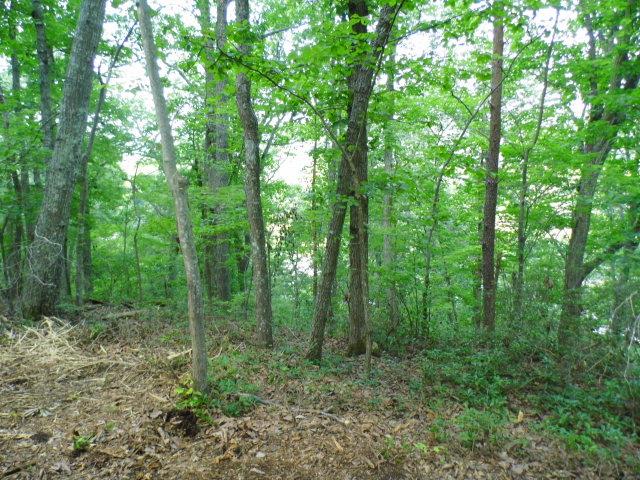 630 Redd Shop Road, Unit 3 Farmville, VA 23901 - Photo 1 of 1 Gallery Image 1
