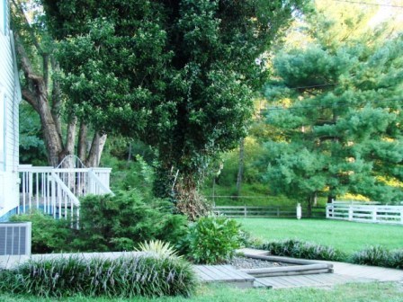 3356 Green Level Road Rocky Mount, VA 24151 - Photo 25 of 27 Beautiful Setting