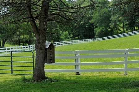 3356 Green Level Road Rocky Mount, VA 24151 - Photo 5 of 27 Fenced Pastures