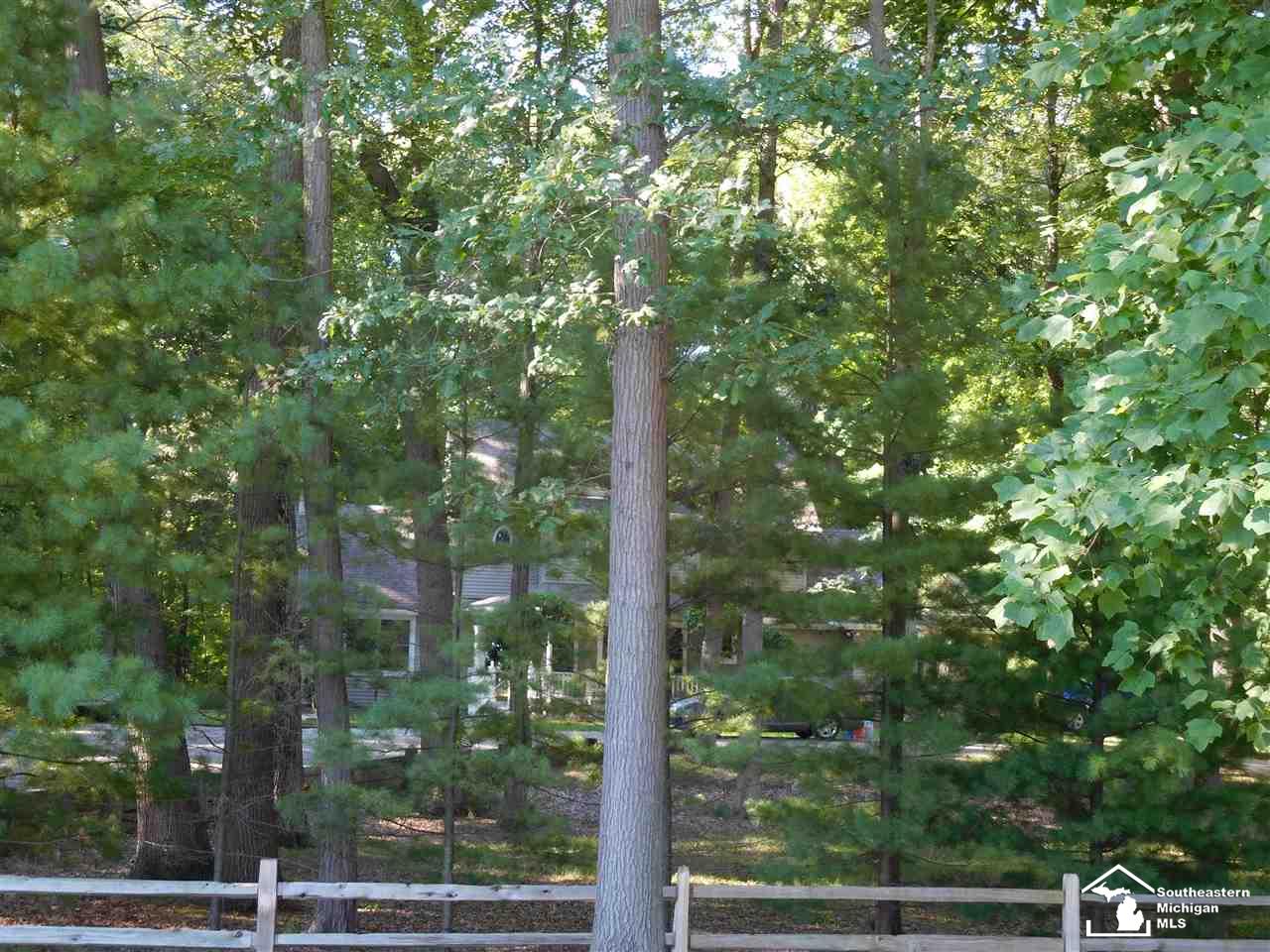 3553 Nolan Road Carleton, MI 48117 - Photo 9 of 34
