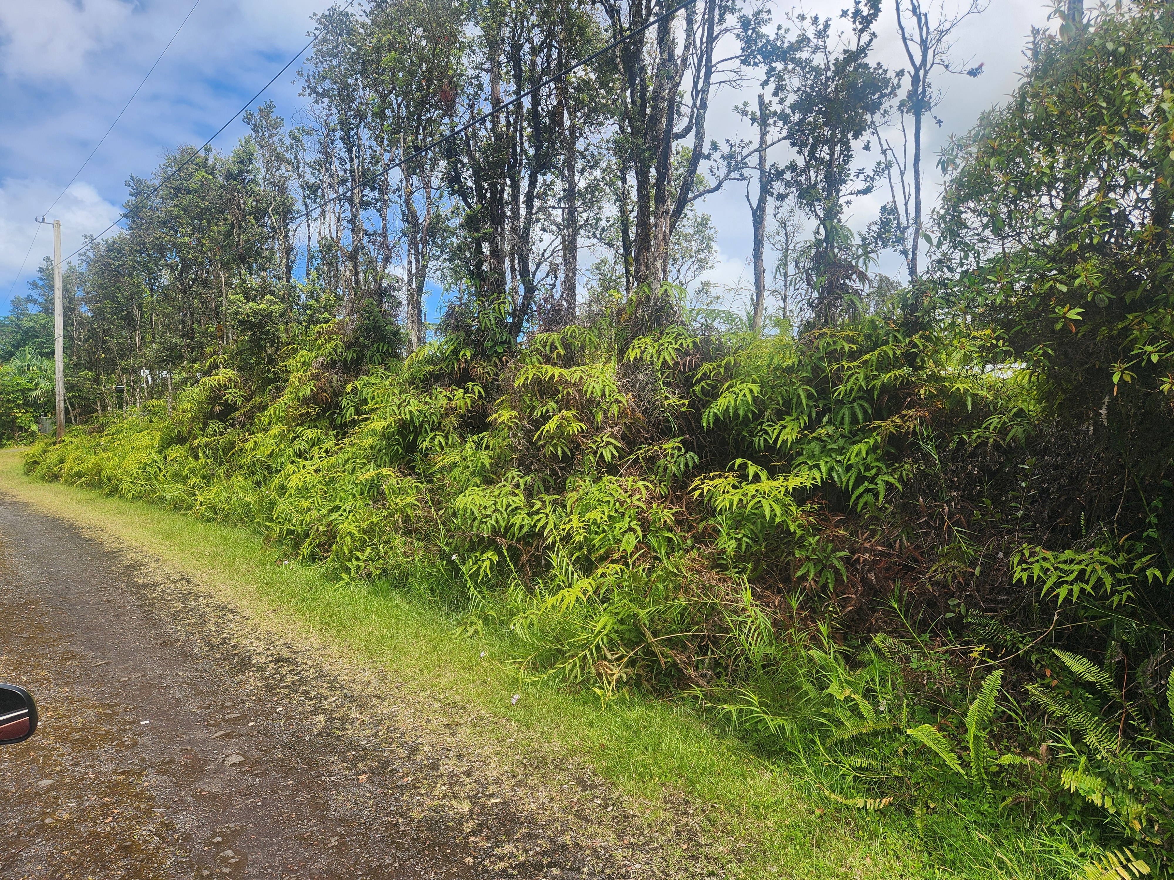 917 Oahu Road Pahoa, HI 96778 - Photo 1 of 5 Gallery Image 1