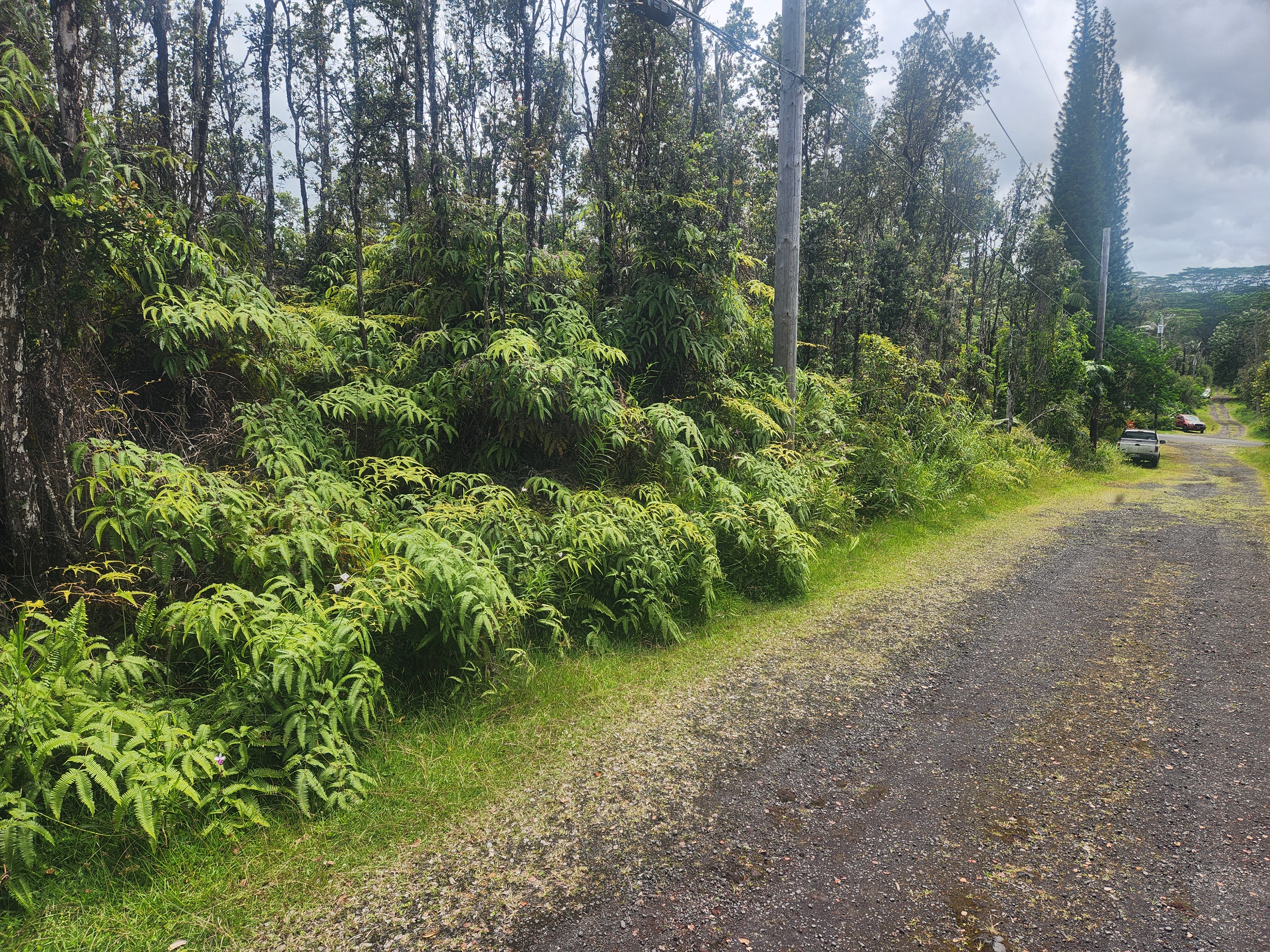 917 Oahu Road Pahoa, HI 96778 - Photo 3 of 5 Gallery Image 3