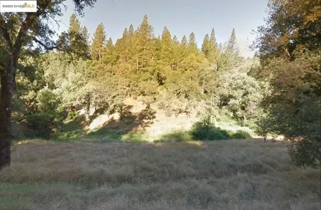 a view of a field with trees in the background