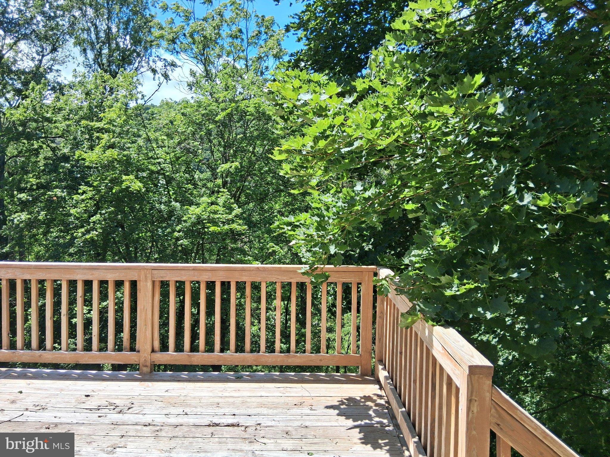 265 View Street Johnstown, PA 15902 - Photo 22 of 66 Serene deck amidst lush greenery.