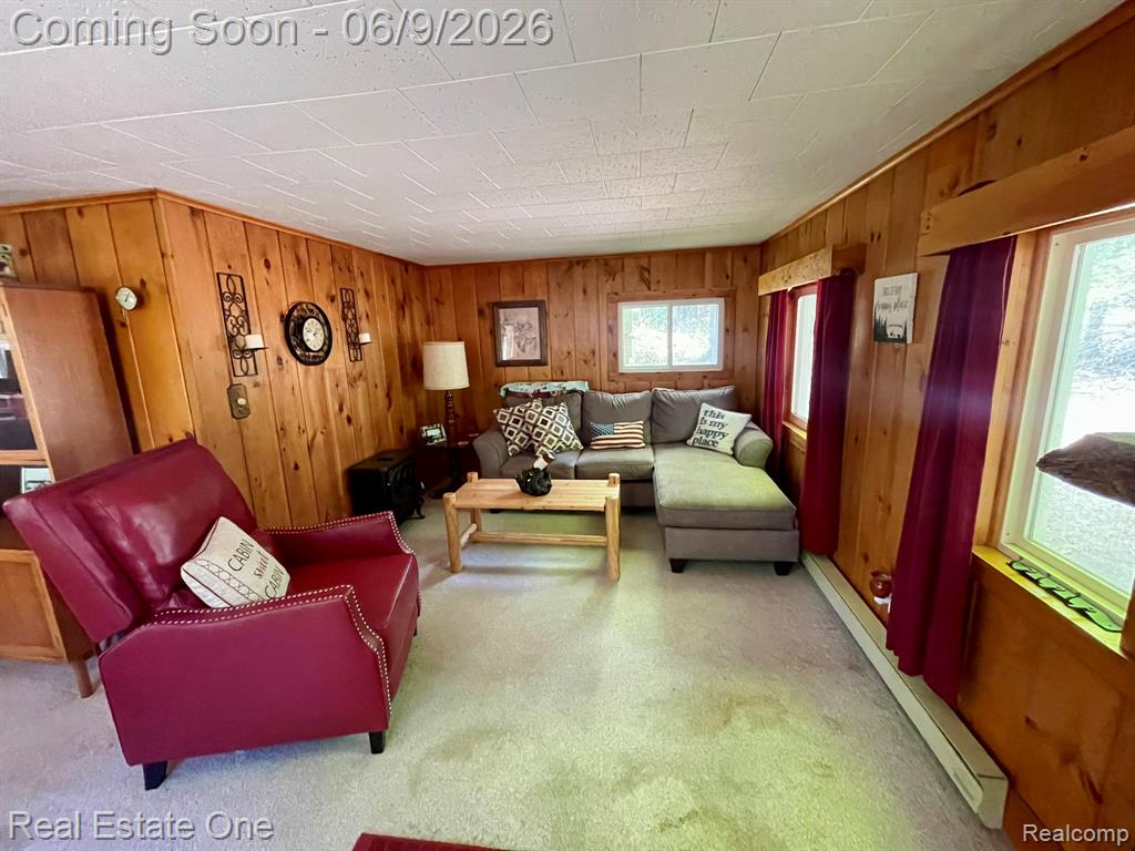 2596 Fox Road Lincoln, MI 48742 - Photo 9 of 54