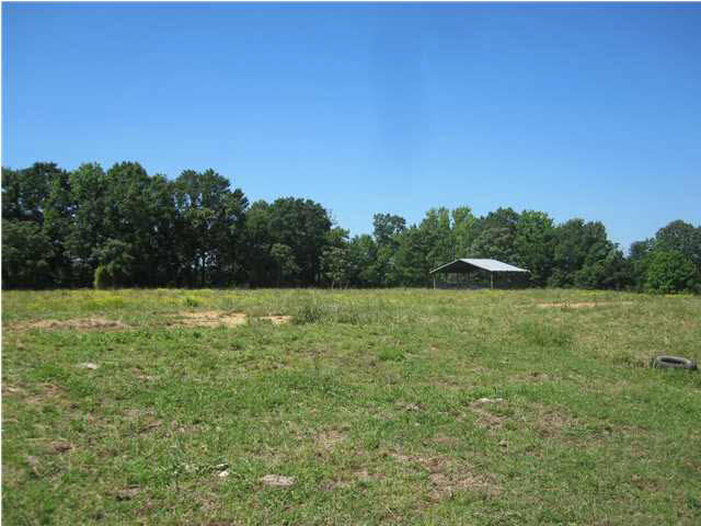 596 Pea Ridge Road Forest, MS 39074 - Photo 7 of 15 Photo 7