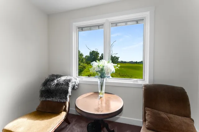 a room with furniture and a potted plant