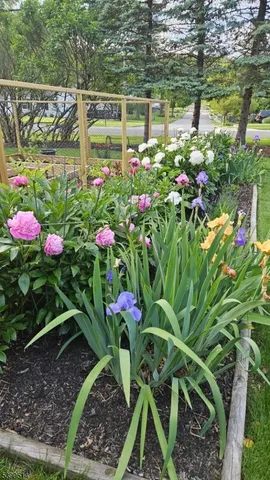 $925,000 | 1 Cleveland Avenue, Morris Plains, NJ 07950