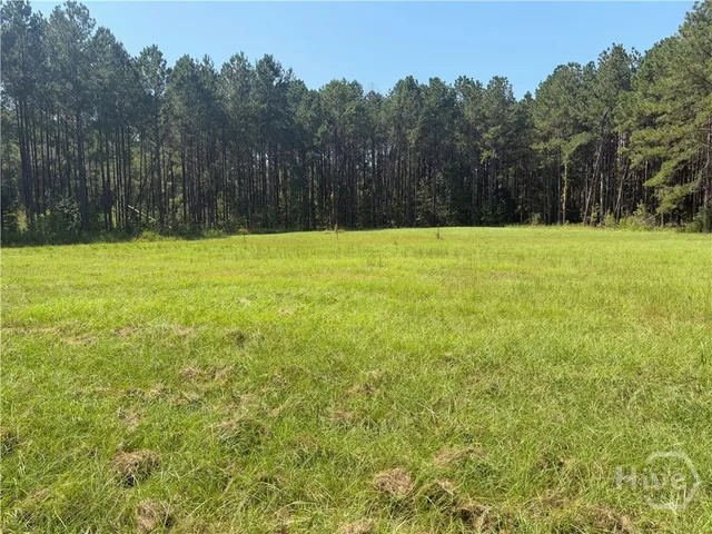 $135,000 | 133 John Godley Lane, Ellabell, GA 31308